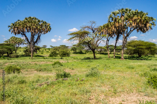 View of the trails and savannah of Samburu