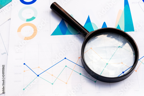 Magnifying with Business Graphs finance document.