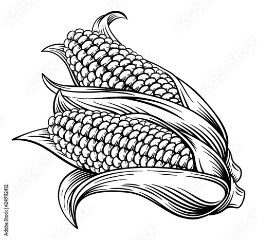 A sweet corn ear maize woodcut print or etching vintage style illustration