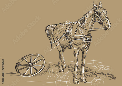 Brown horse with wheel