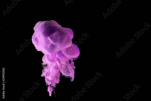 Purple acrylic paint in water isolated on black. Underwater flower. Abstract background for design. 