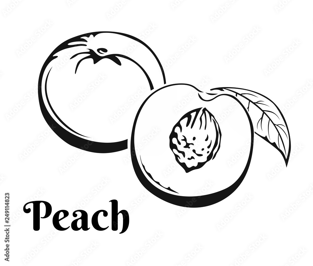 Peach icon isolated on white background. Vector food illustration in
