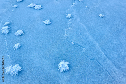 Fototapeta Naklejka Na Ścianę i Meble -  Blue ice and snow on the lake at sunrise. Altai region