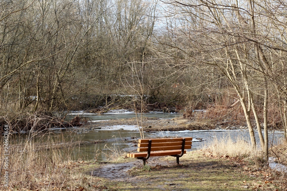 The empty wood park bench with a view of the creek.