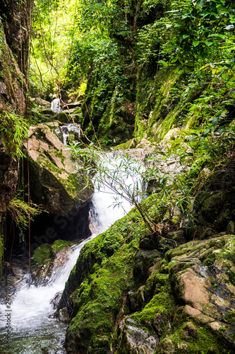 Waterfall pitolorsu umphang,Thailand.