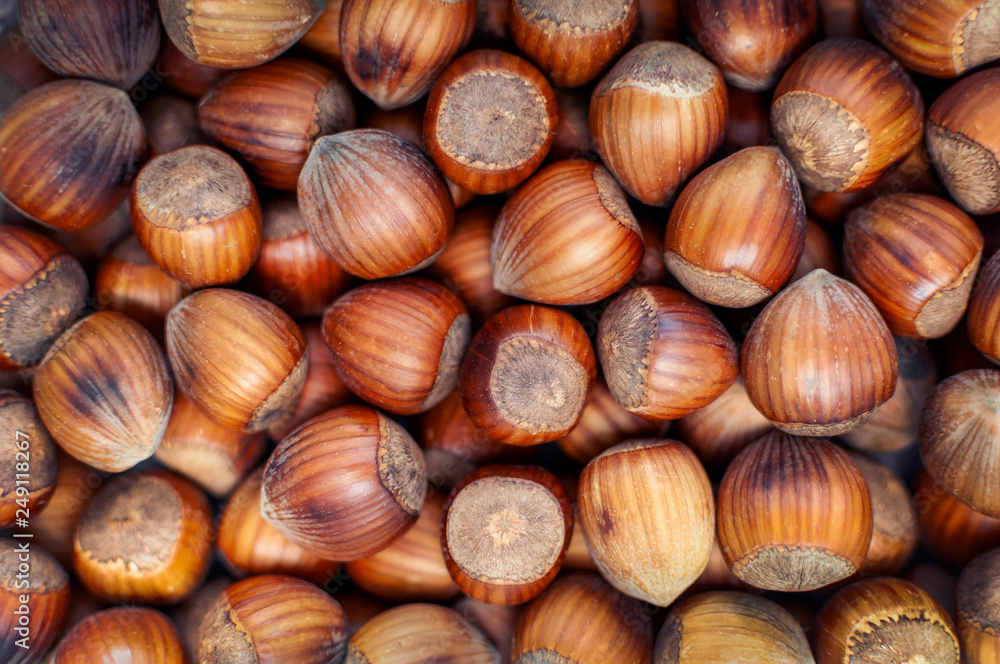 Roasted hazelnuts in a shell, top view, close-up. Seasonal vegetarian food rich of proteins. Roasted hazelnuts in a shell, top view, close-up. Seasonal vegetarian food rich of proteins.