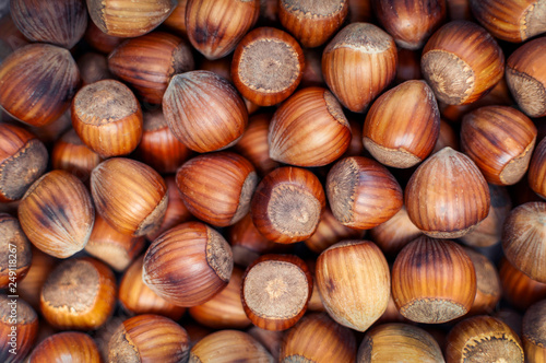 Roasted hazelnuts in a shell, top view, close-up. Seasonal vegetarian food rich of proteins.