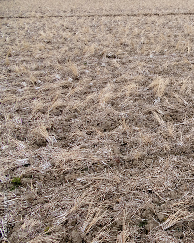 Field in winter after crop harvest