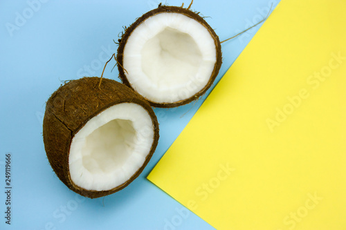 coconut on a yellow and blue background copy space