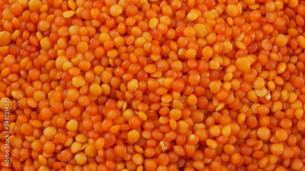 Red lentils background close up Red lentils background close up