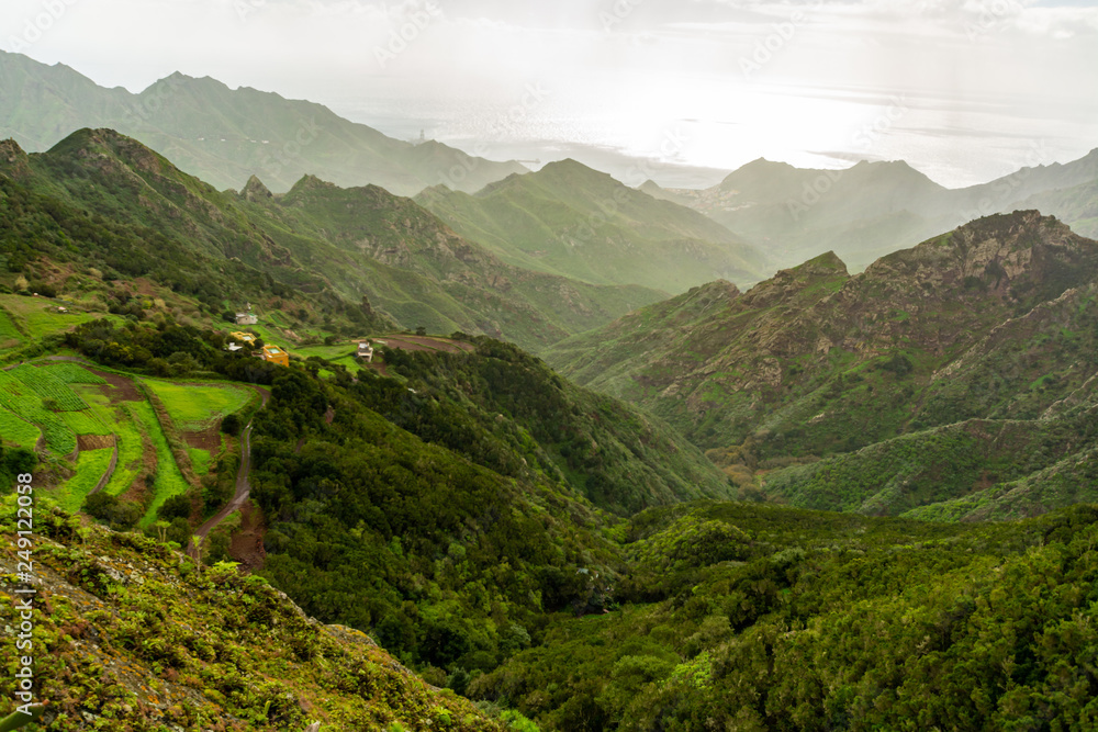 Green mountain slopes of Anaga National Park, Tenerife, Canary Islands, Spain