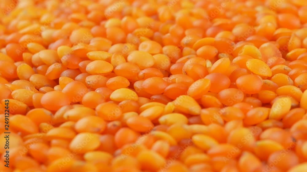 Red lentils background close up Red lentils background close up