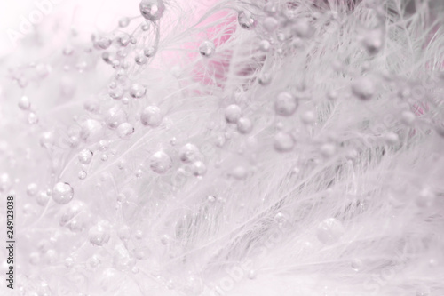 the bird hair pattern in macro view, water drop on hair abstract background, close-up water drop on pink background
