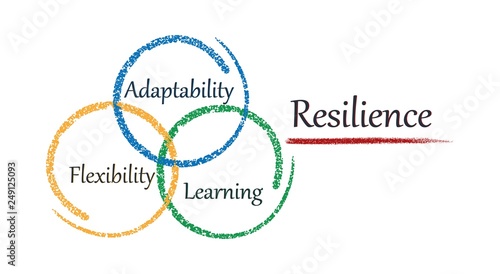 Concept resilience. Adaptability, flexibility, learning. Vector image. photo