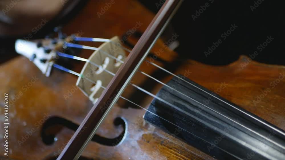 beautiful young girl playing the violin during the concert.close-up beautiful young girl playing the violin during the concert.close-up