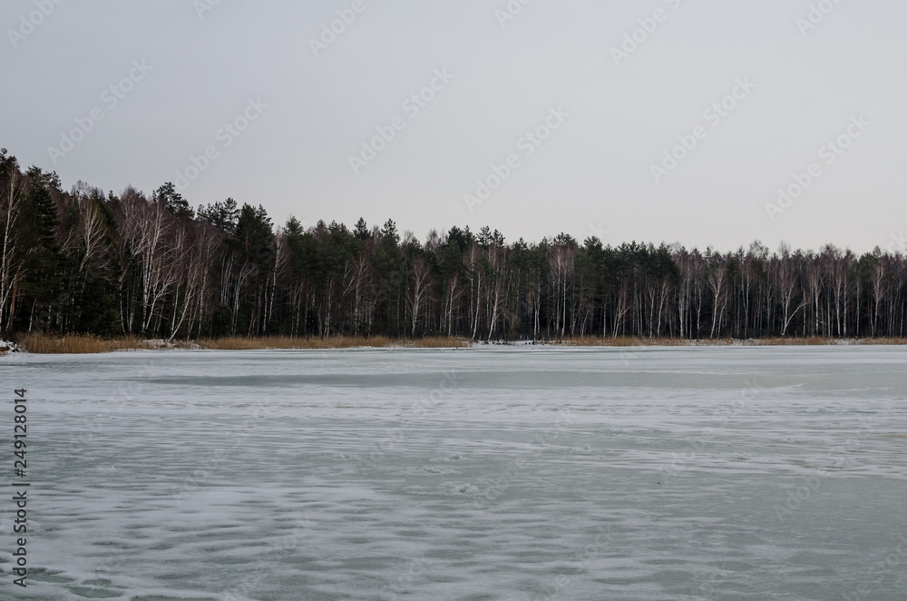 The frozen lake in the winter forest. Winter Lake Landscape