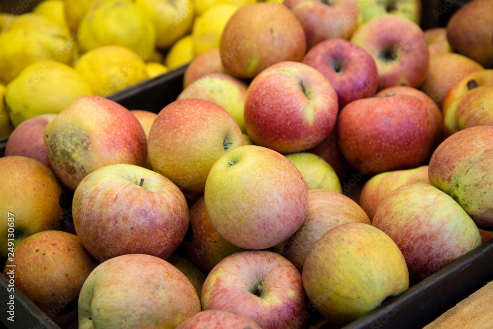 fresh fruit, many ripe red apples on the counter in the supermarket fresh fruit, many ripe red apples on the counter in the supermarket