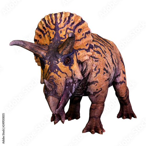 3D Rendering Dinosaur Triceratops  on White © photosvac