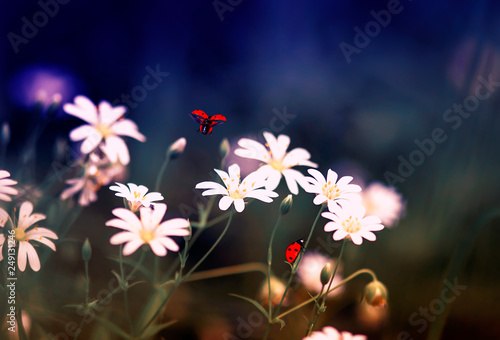 magnificent natural background with little red ladybugs flying and crawling o...
