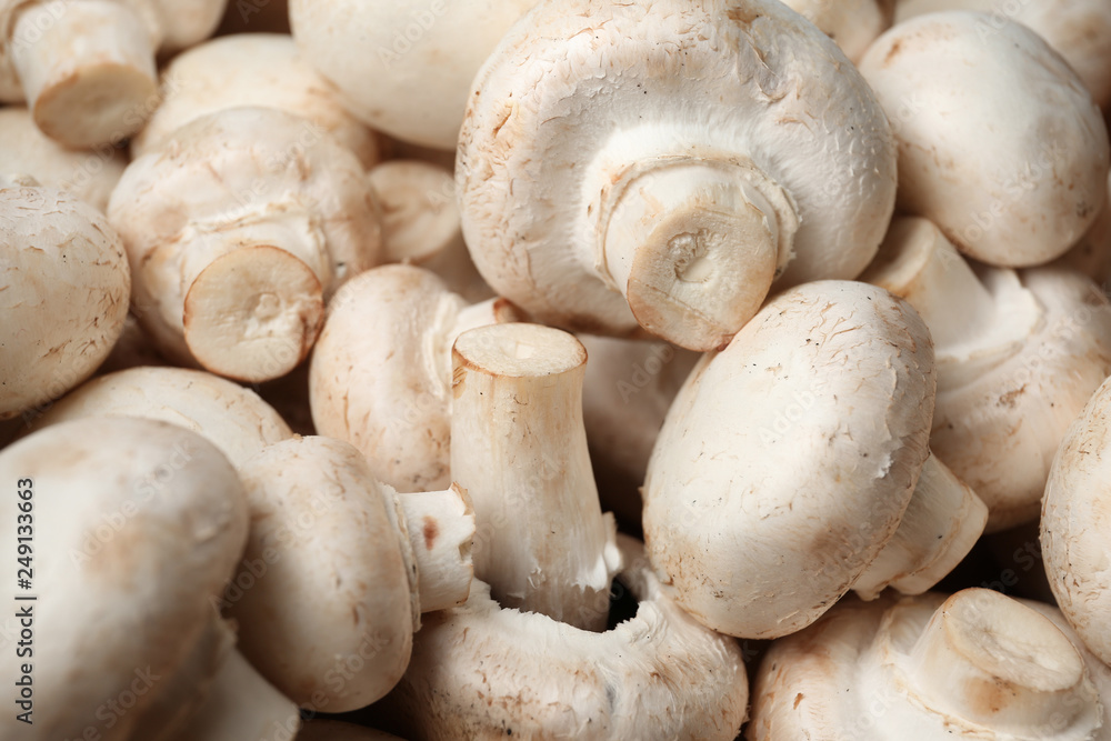 Fresh champignon mushrooms as background. Healthy food Fresh champignon mushrooms as background. Healthy food