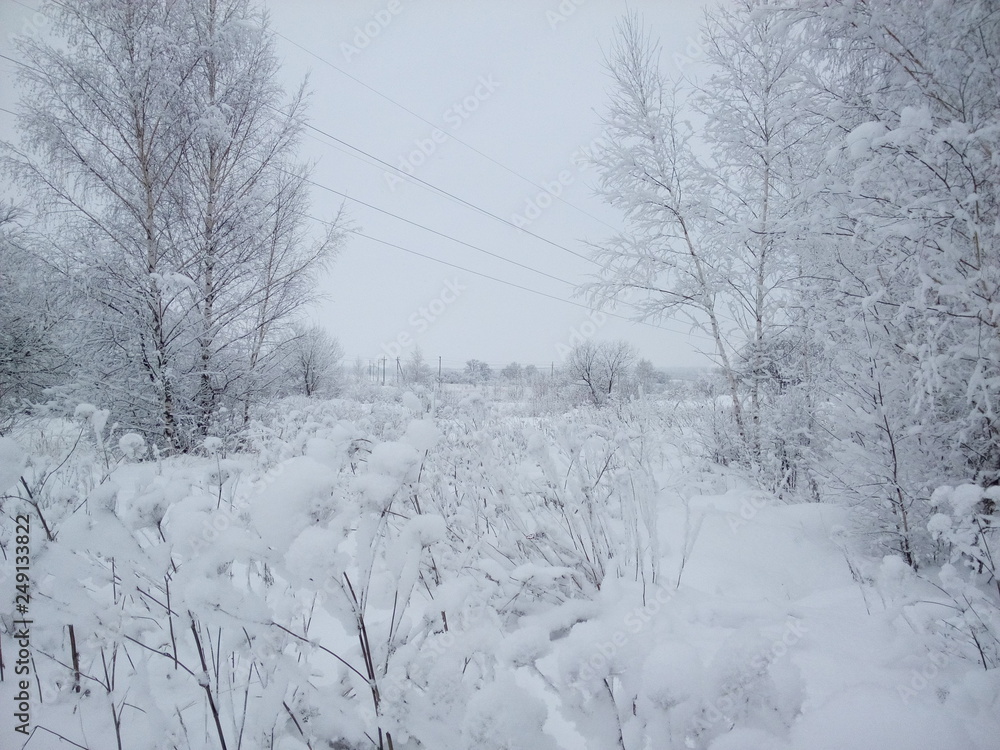 Obraz premium Белым бело.