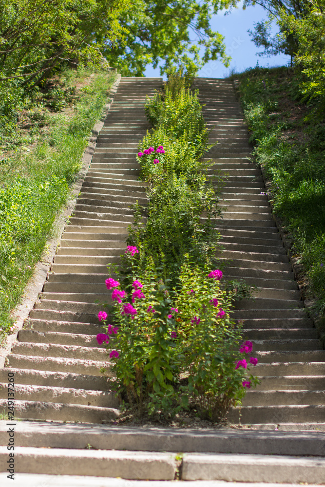stairs in garden