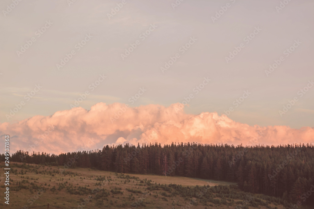 Colorful sunset in mountains with Fir tree against pink to orange evening sky and blue mountains