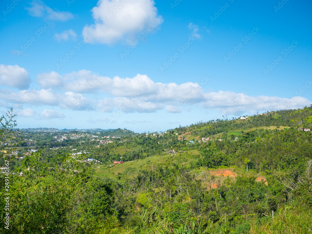 Obraz premium View from Ruta panoramica road in Puerto Rico. USA. this road is little used by tourists but allows to leave the tourist circuit and offers great views.