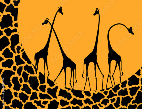 giraffe illustration design