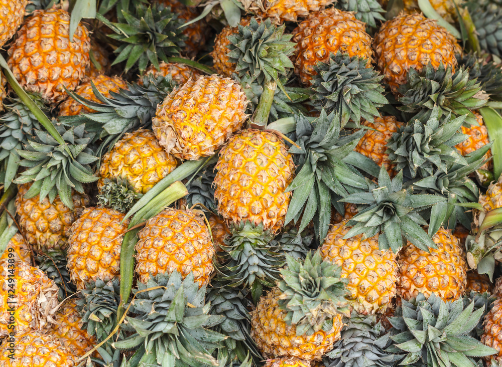 pineapple pineapple