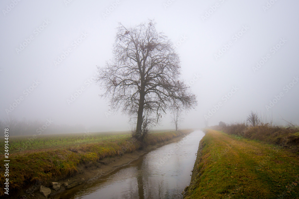 Nebbia 2 Nebbia 2