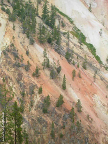 Mammoth Hot Springs in Yellowstone