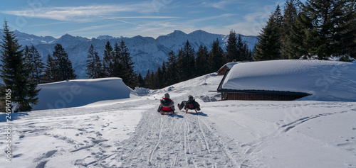 Schlittenfahren in den Alpen