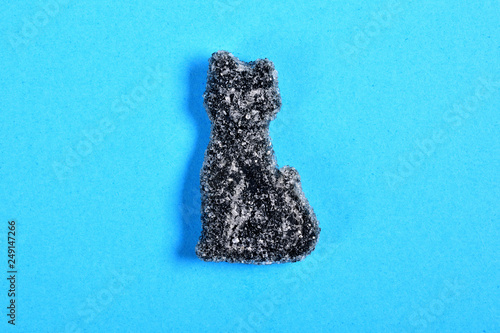 Photography cat jelly candy on blue background