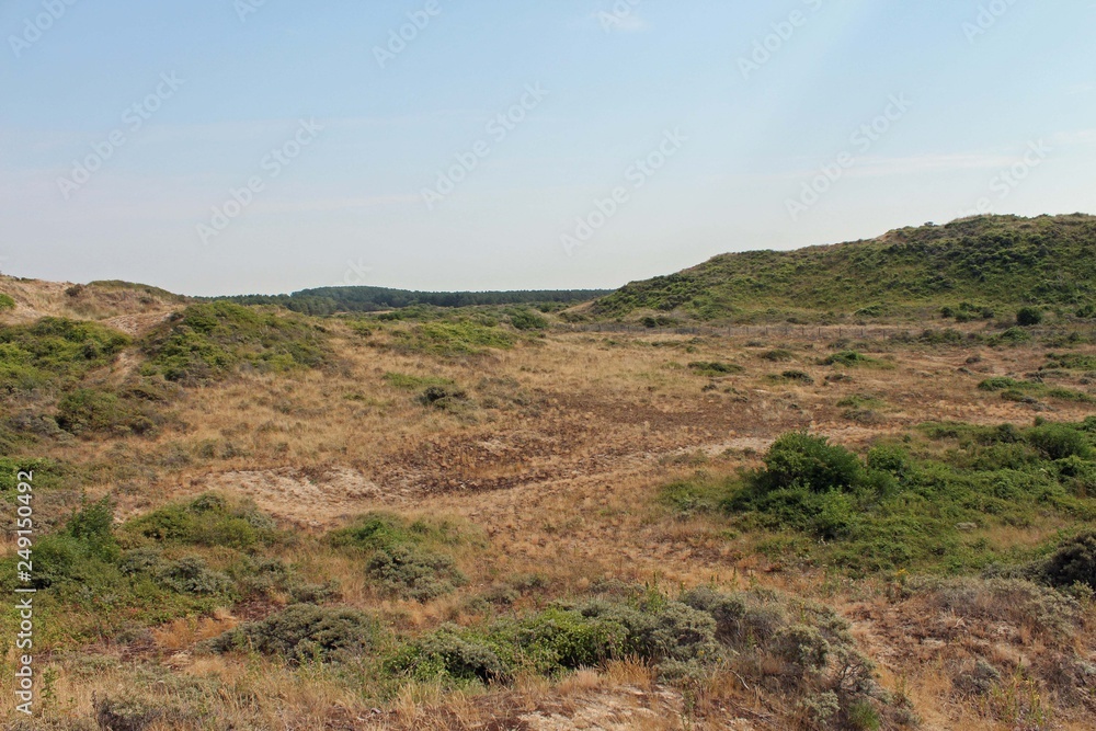 Pas de Calais, dunes de Merlimont 