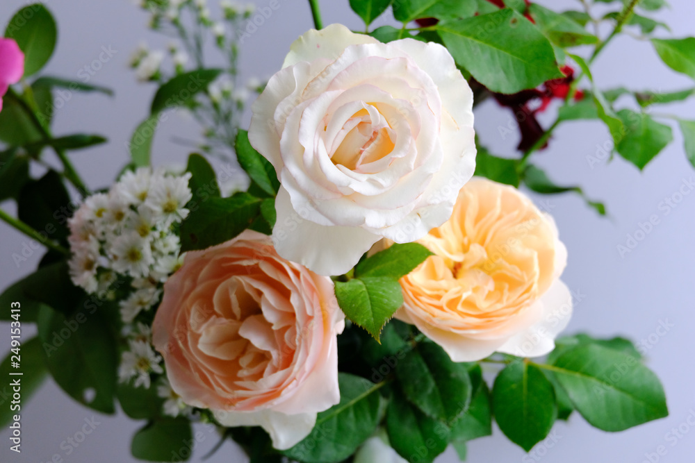 Roses for romantic Valentines Festival Roses for romantic Valentines Festival