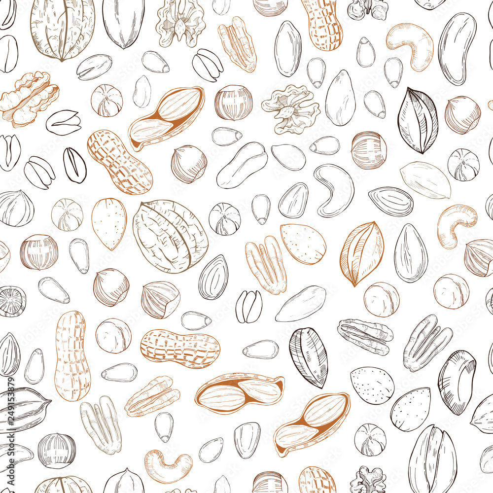 Hand drawn nuts. Vector  seamless pattern