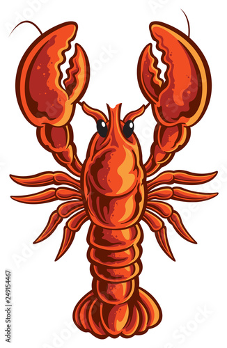 lobster on white background