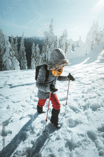 Woman is hiking in snowy winter mountains with trekkin poles and a backpack.  In background blue sky and shiny sun. Concepts: adventure, determination, extreme sport. photo