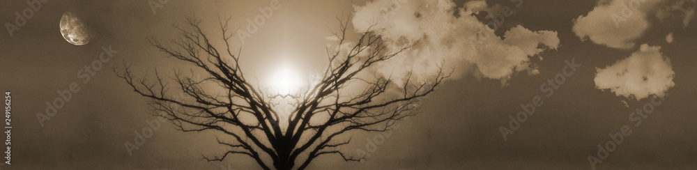 Obraz premium Tree of Life