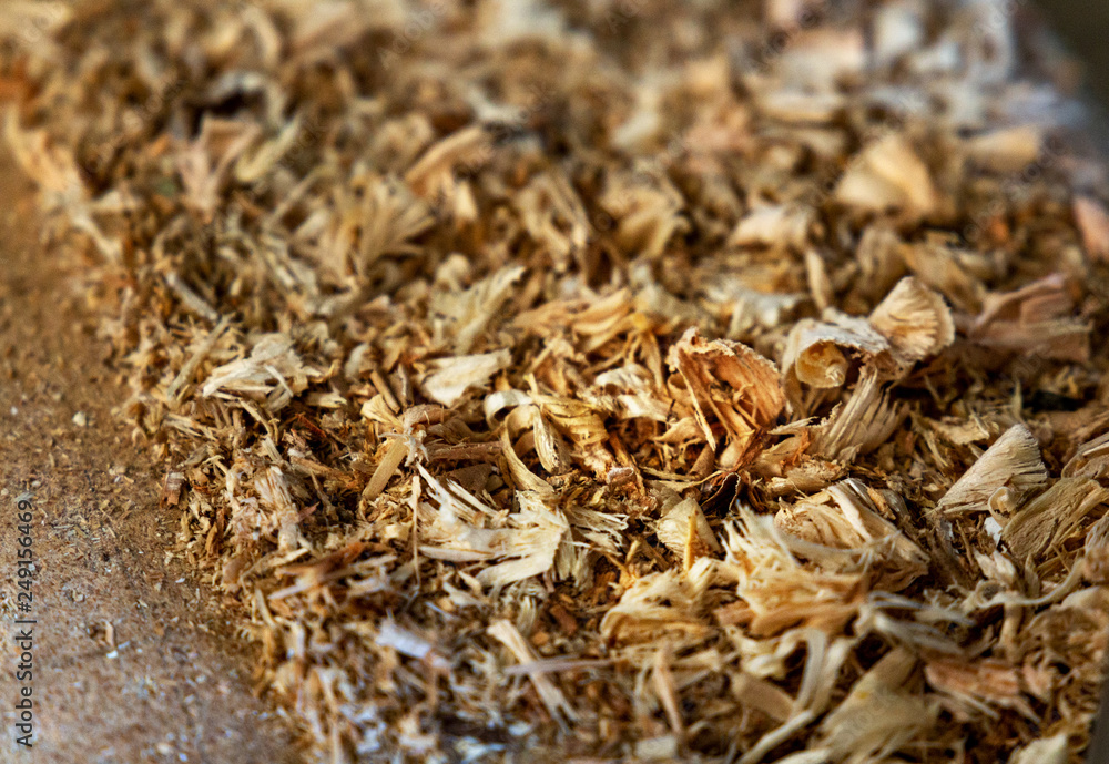 Closeup of wood chips. depth of field, soft focus effect Closeup of wood chips. depth of field, soft focus effect
