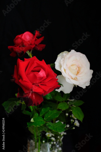 Roses for romantic Valentines Festival