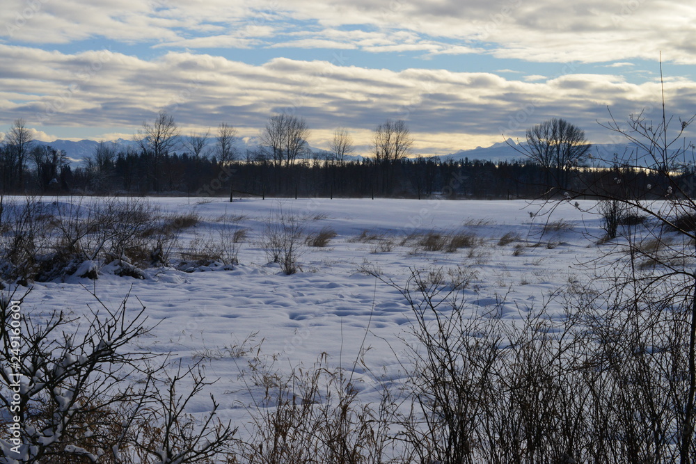 lake in winter