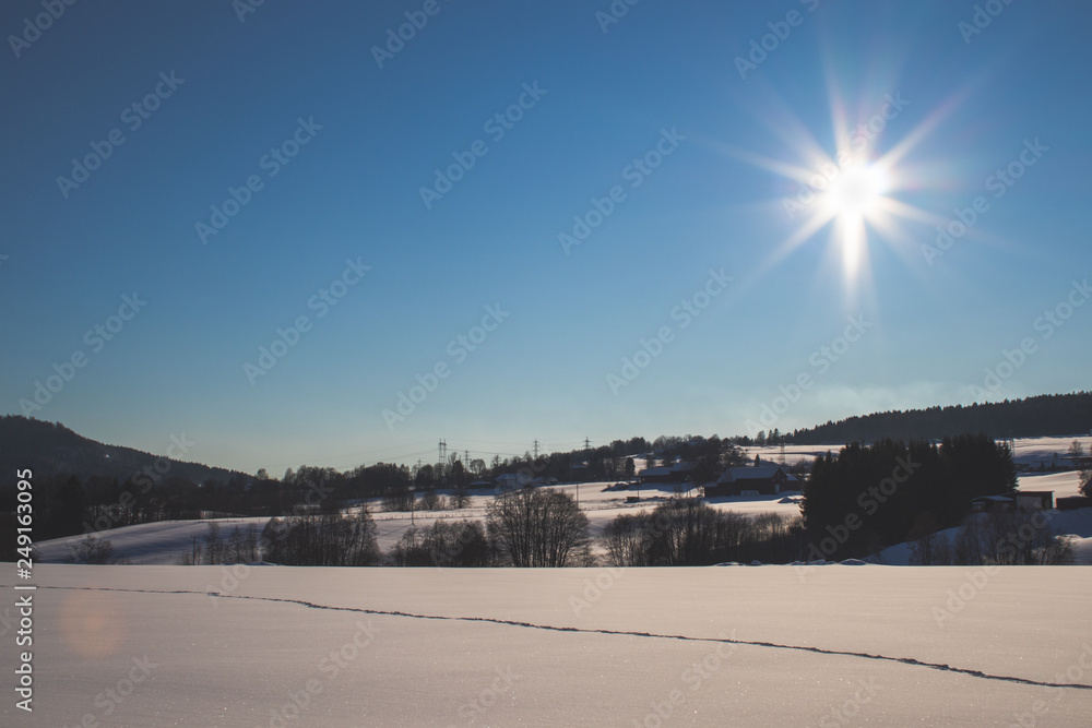 Winter farmland with tracks in snowy plain Winter farmland with tracks in snowy plain