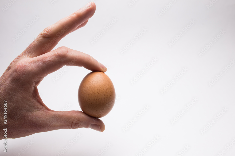 Male hand holding a chicken egg on a white background Male hand holding a chicken egg on a white background