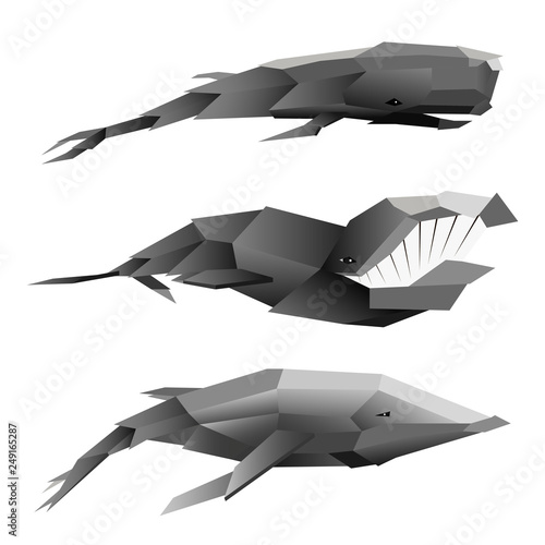 Creative set of three polygonal whales on white.