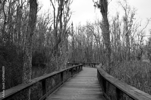 wooden bridge in marsh © Emily