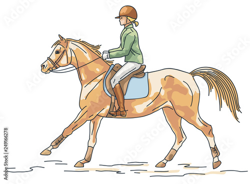 Equestrian, horseback riding, young girl is riding a pony.	