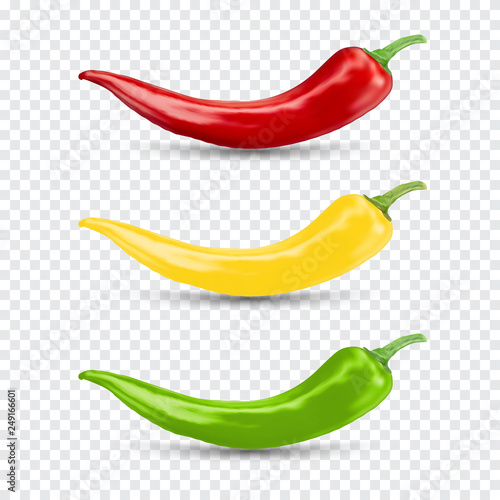 Chili pepper set. Realistic vector illustration.