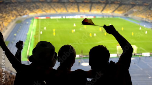 German football fans happily hugging and waving national flag at stadium, soccer